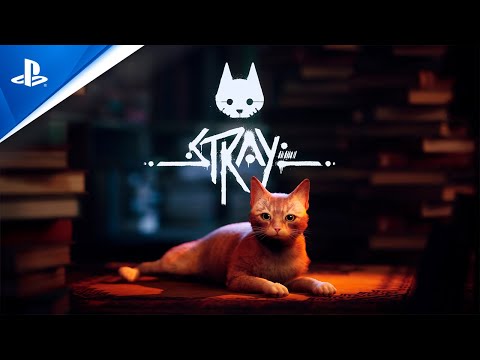 Stray - Tráiler 4K de la FECHA DE LANZAMIENTO en PS5 | PlayStation España